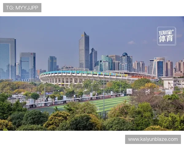 开运体育网址未来发展趋势，探讨体育娱乐行业的创新与技术应用前景